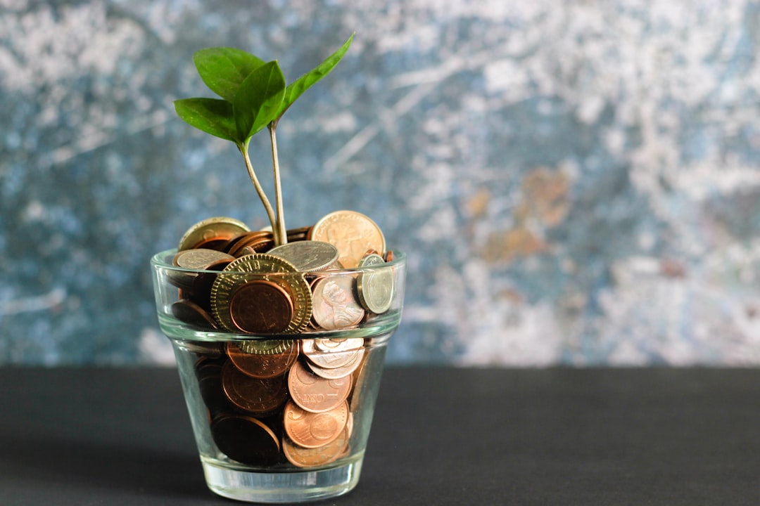 Investment Strategies for 2024